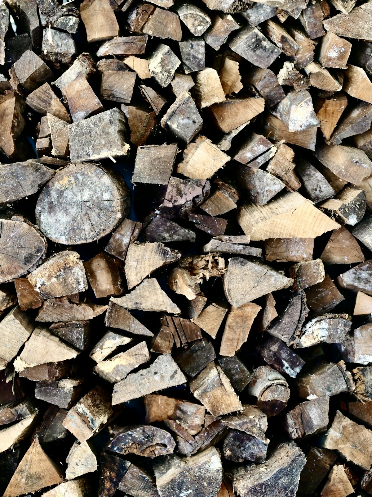 A stack of cut firewood logs (stock photo)
